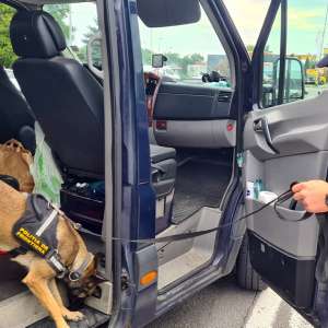 Măsuri de întărire a dispozitivului de supraveghere şi control la frontiera cu Ungaria