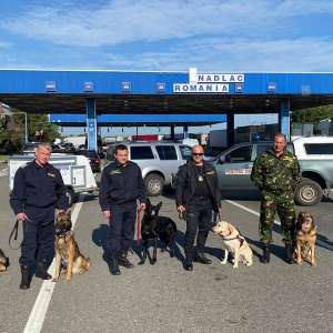 Măsuri de întărire a dispozitivului de supraveghere şi control la frontiera cu Ungaria