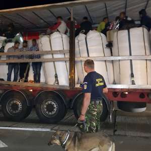 Automarfare, oprite la frontiera cu Ungaria. 82 de cetățeni străini depistaţi ascunşi în compartimentele pentru marfă