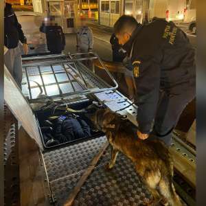 13 de migranți ascunși în două mijloace de transport, depistați la sfârșitul săptămânii, la frontiera cu Ungaria