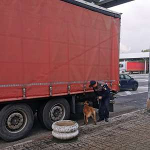 Aproximativ 7.000 pachete cu țigări ascunse printre canapele