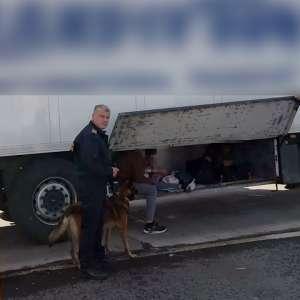 35 de migranți ascunși în două TIR-uri, încărcate cu mobilă şi piese auto