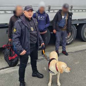 Trei migranți ascunși într-un TIR încărcat cu piese auto