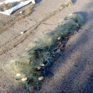 Brăilean cercetat pentru braconaj