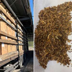 Aproape 14 tone de tutun de contrabandă, în valoare de peste 1,5 milioane lei, descoperite într-un autocamion, în PTF Bechet