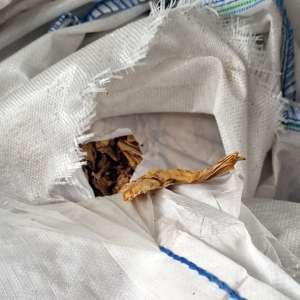 1.320 kilograme foi de tutun ambalate în 32 de saci, descoperite de polițiștii de frontieră giurgiuveni