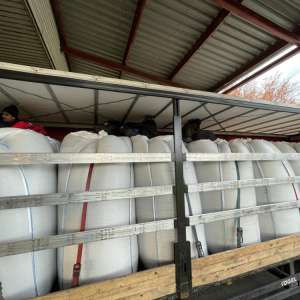 43 migranți ascunși în două automarfare încărcate cu semințe de floarea soarelui și mase plastice