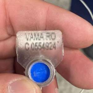 Cetățean sârb cercetat în stare de arest preventiv pentru trafic de migranți