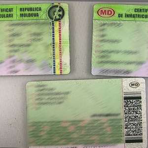 Certificate de înmatriculare false descoperite la controlul de frontieră