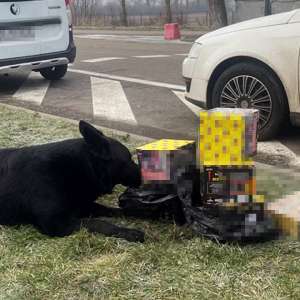 Materiale pirotehnice descoperite la intrarea în țară