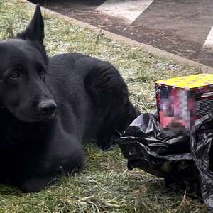 Materiale pirotehnice descoperite la intrarea în țară