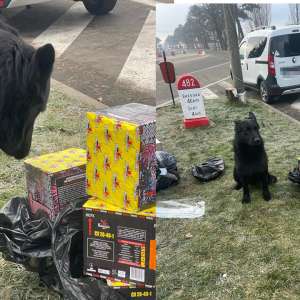 Materiale pirotehnice descoperite la intrarea în țară