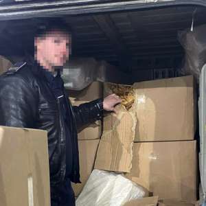 Aproximativ o tonă de tutun neprelucrat, descoperită de polițiștii de frontieră giurgiuveni