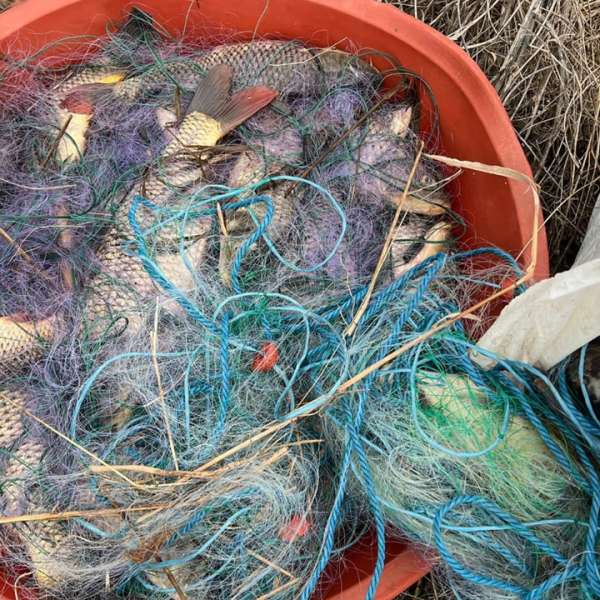 Două persoane prinse în timp ce pescuiau ilegal cu plase monofilament pe lacul Sinoe