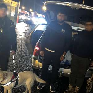 48 de migranți ascunși în cinci mijloace de transport, depistați la P.T.F. Nădlac II