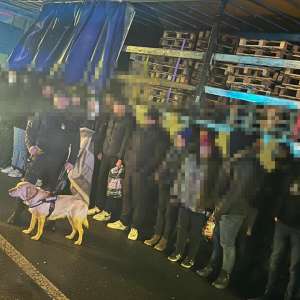 48 de migranți ascunși în cinci mijloace de transport, depistați la P.T.F. Nădlac II