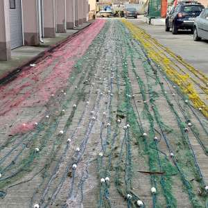 Peste 1.500 de metri plase cu 76 de kilograme de pește, scoase din apă de polițiștii de frontieră într-o zonă strict protejată