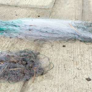 Vasluieni - braconieri descoperiți în zona de competență de polițiștii de frontieră