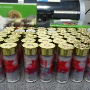 Cartușe de vânătoare descoperite într-un autoturism, în P.T.F. Calafat