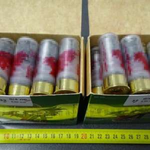 Cartușe de vânătoare descoperite într-un autoturism, în P.T.F. Calafat