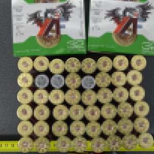 Cartușe de vânătoare descoperite într-un autoturism, în P.T.F. Calafat