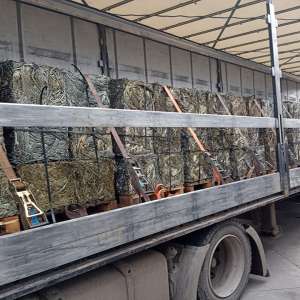 Peste 47 tone deșeuri, oprite la intrarea în țară