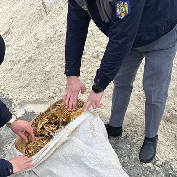 Peste două tone de tutun vrac ascuns în semiremorca unui ansamblu rutier