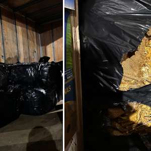 Tutun vrac ascuns în compartimentul marfă al unui microbuz descoperit de polițiștii de frontieră giurgiuveni