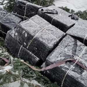 Contrabandă cu calul la Valea Vișeului