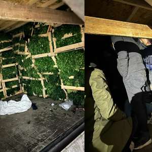 14 cetățeni sirieni ascunși într-un microbuz încărcat cu pătrunjel,  depistați în P.T.F. Calafat