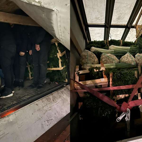 14 cetățeni sirieni ascunși într-un microbuz încărcat cu pătrunjel, depistați în P.T.F. Calafat