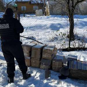 Peste 15.000 pachete țigări și sume în valută confiscate în urma unor percheziții în Moisei și Borșa