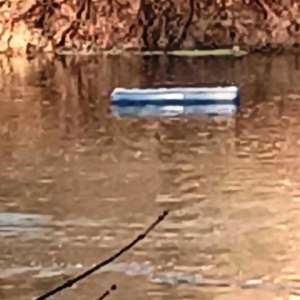 Migrant palestinian şi călăuză din Sudan, cercetaţi de poliţiştii de frontieră ieşeni