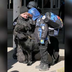 La un an de la declanșarea conflictului din Ucraina, aproximativ 3,6 milioane de cetăţeni ucraineni au intrat în ţara noastră