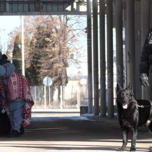 La un an de la declanșarea conflictului din Ucraina, aproximativ 3,6 milioane de cetăţeni ucraineni au intrat în ţara noastră