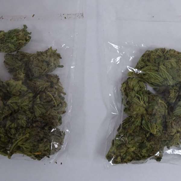 Substanță vegetală, de culoare verde, depistată ascunsă într-un autocamion în PTF Calafat