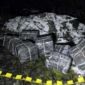 Focuri de armă pentru reținerea unui cetățean ucrainean prins făcând contrabandă cu ţigări la frontiera de nord