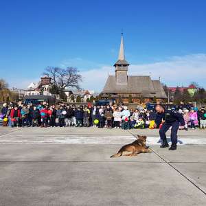 Câinele Athos a prins ,,infractorul”, spre deliciul a peste 100 de copii, veniți în vizită la Poliția de Frontieră Sighetu Marmației
