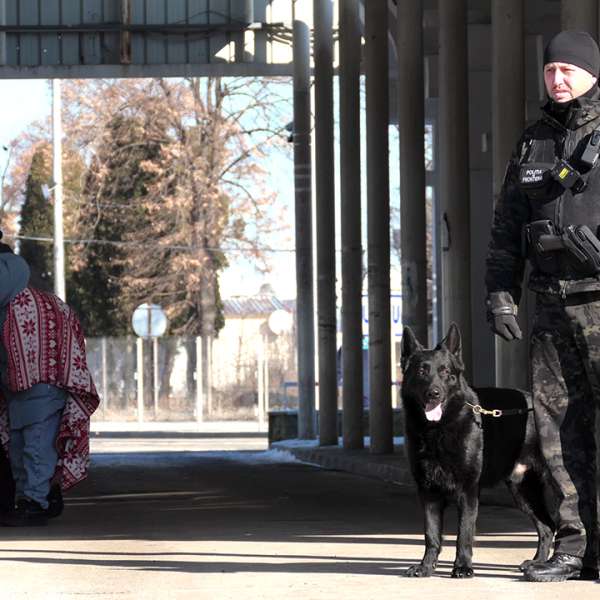 Ansamblu rutier condus de un șofer cu permis de conducere necorespunzător