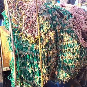 Trei pescadoare depistate la pescuit ilegal în zona economică exclusivă a României în Marea Neagră