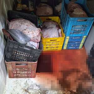 Trei pescadoare depistate la pescuit ilegal în zona economică exclusivă a României în Marea Neagră