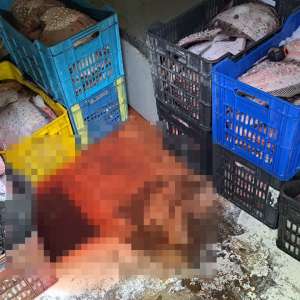 Trei pescadoare depistate la pescuit ilegal în zona economică exclusivă a României în Marea Neagră