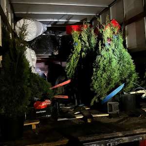 Poliţiştii de frontieră arădeni au depistat 72 de cetăţeni străini, ascunşi în două mijloace de transport