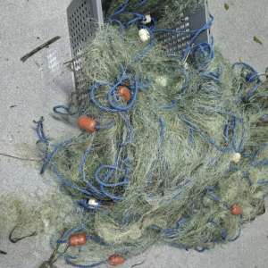 Dosare penale întocmite, mii de metri de plase mono-filament, 150 kg de pește și două ambarcațiuni confiscate în urma unor acțiuni ale polițiștilor de frontieră din cadrul Gărzii de Coastă