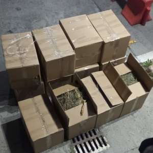 Peste jumătate de tonă de tutun vrac disimulat în cutii cu lavandă, descoperită de polițiștii de frontieră giurgiuveni