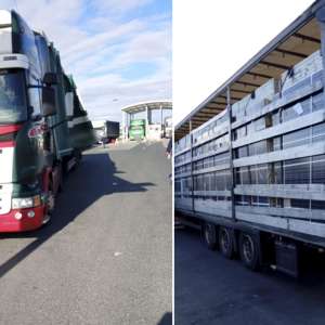 Peste 45 de tone de deşeuri, oprite la PTF Nădlac II