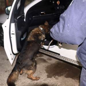 Autoturism ce figura furat, în valoare de peste 70.000 de lei, descoperit la Botoşani