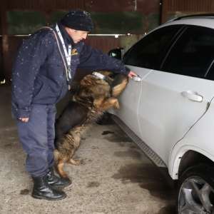 Autoturism ce figura furat, în valoare de peste 70.000 de lei, descoperit la Botoşani