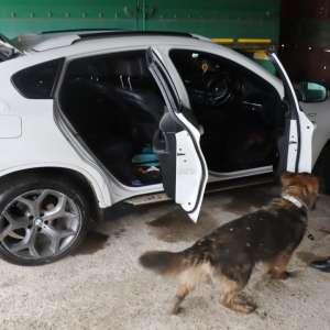 Autoturism ce figura furat, în valoare de peste 70.000 de lei, descoperit la Botoşani