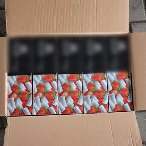 Dosar penal pentru un bărbat care a încercat să treacă frontiera cu 6 tone tutun de narghilea cu documente falsificate